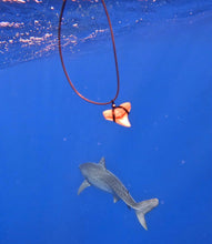 Load image into Gallery viewer, Our Bull Shark Tooth necklace underwater in Hawaii with a real Tiger Shark!
