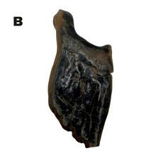 Load image into Gallery viewer, Pick Your Gar Scale
