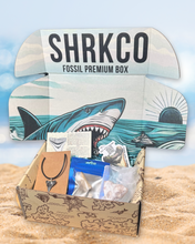 Load image into Gallery viewer, Fossil Jewelry Premium Box
