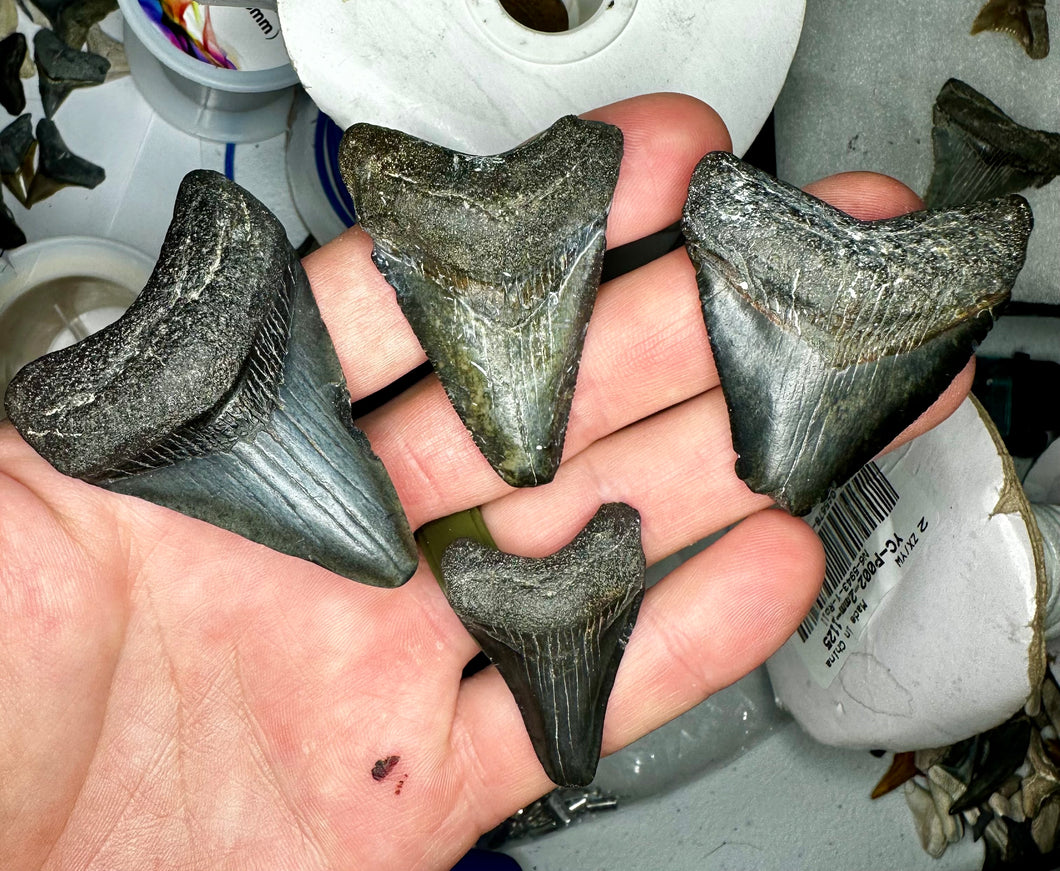 Gold Meg necklace difference