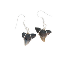 Load image into Gallery viewer, Shark Fossil Dangle Earrings 14kt Gold or Sterling Silver
