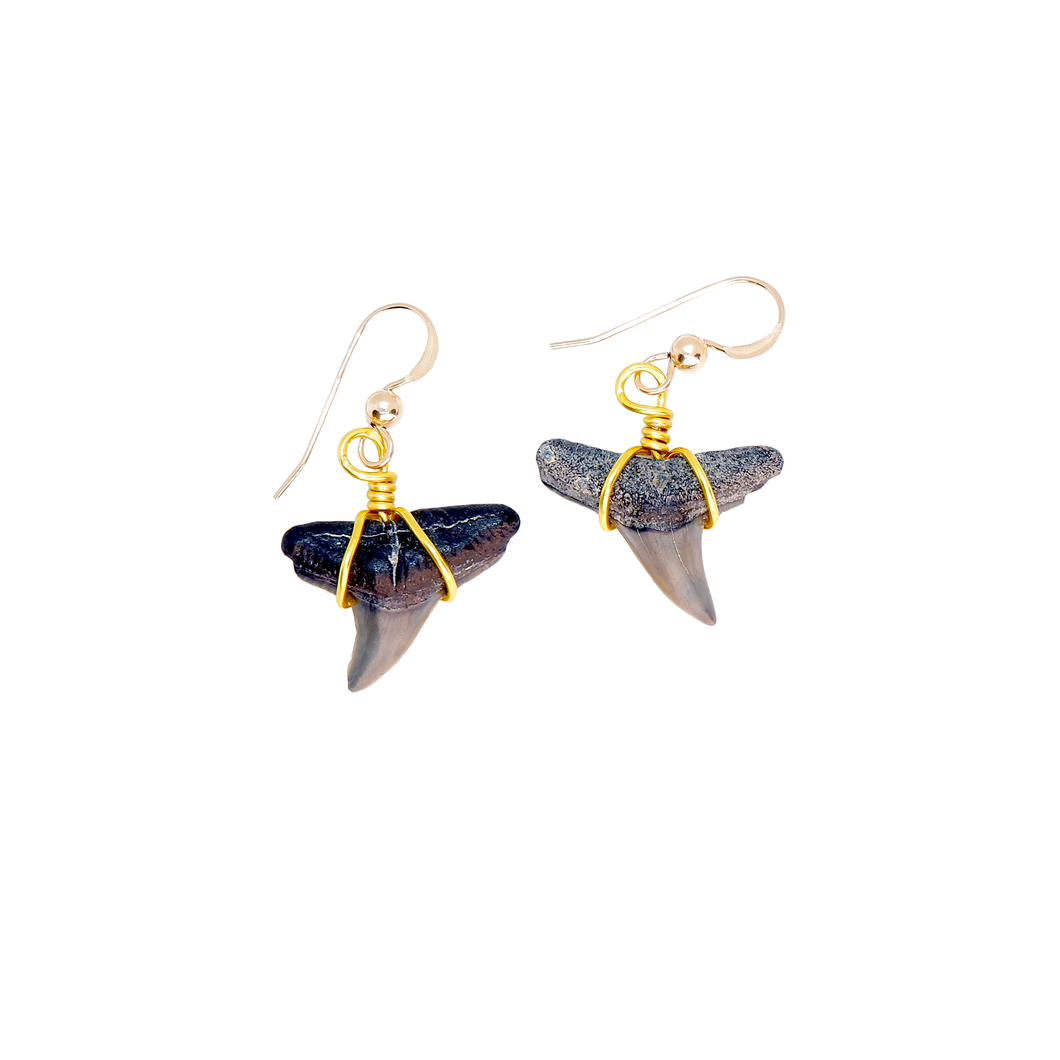 Shark Fossil Dangle Earrings 14kt Gold or Sterling Silver