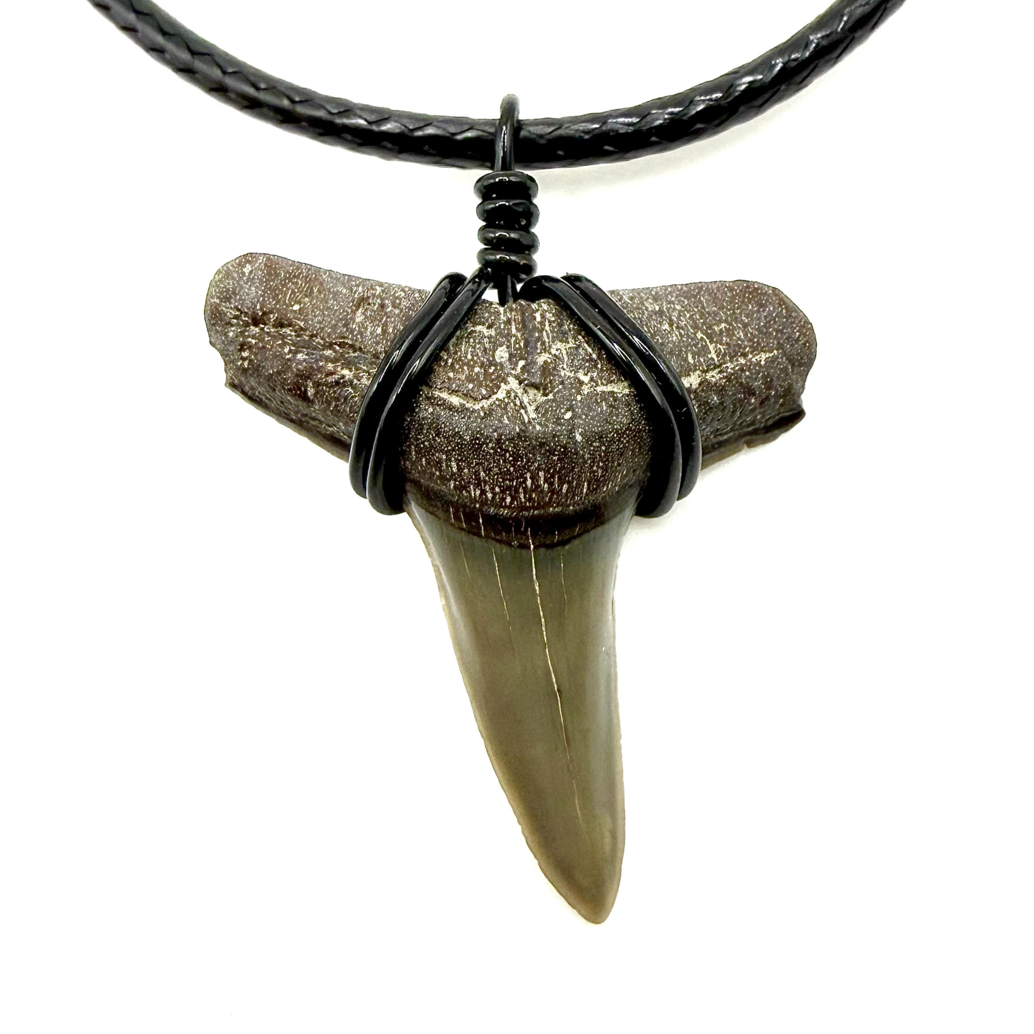 Lemon Shark Fossil Necklace – SHRKco LLC