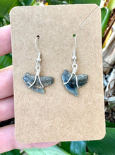 Load image into Gallery viewer, Example of a set of Tiger Shark Teeth Fossils on Sterling Silver earrings handmade and wrapped in Florida. 
