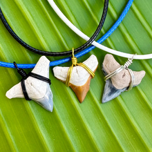 Load image into Gallery viewer, RARE COLOR Bull Shark Necklace
