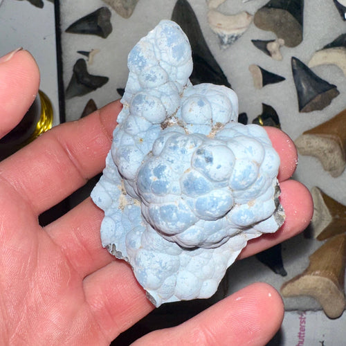 Close-up of a Baby Blue Botryoidal Agate Coral Geode – A unique agatized coral geode featuring soft baby blue hues and bubbly, botryoidal formations.