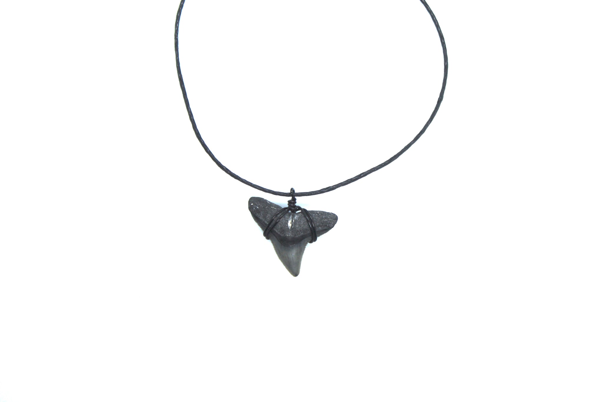 ★BTS着用★【PORTRAIT REPORT】★“Shark Tooth” Necklac.e★ Shark Teeth