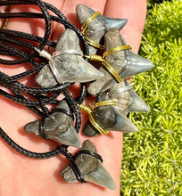 Load image into Gallery viewer, Classic Bull Shark Fossil necklace outer banks beach style handmade in Florida.  Great for spring break, vacations, and everyday life for any shark fan!  Always ethically found, fossilized and ancient. All recovered by digging, scuba diving and fossil hunting in prehistoric Florida oceans.  Enlarged to show detail
