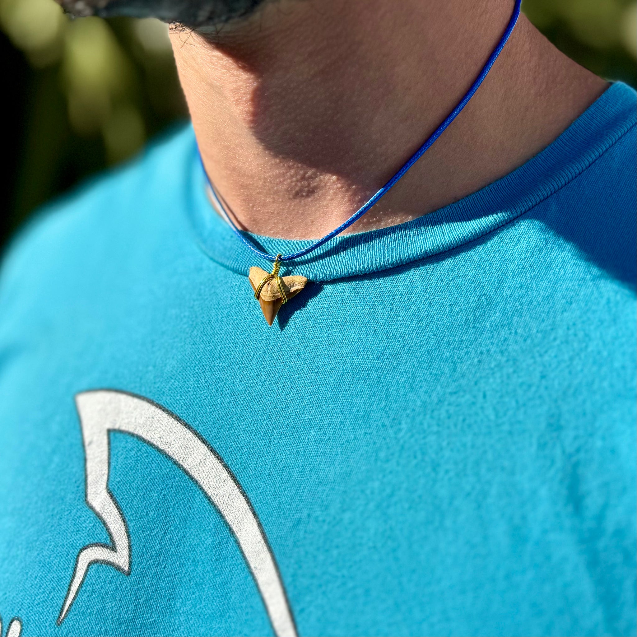 Limited Edition RARE Orange Marine Fossil Necklace – SHRKco LLC