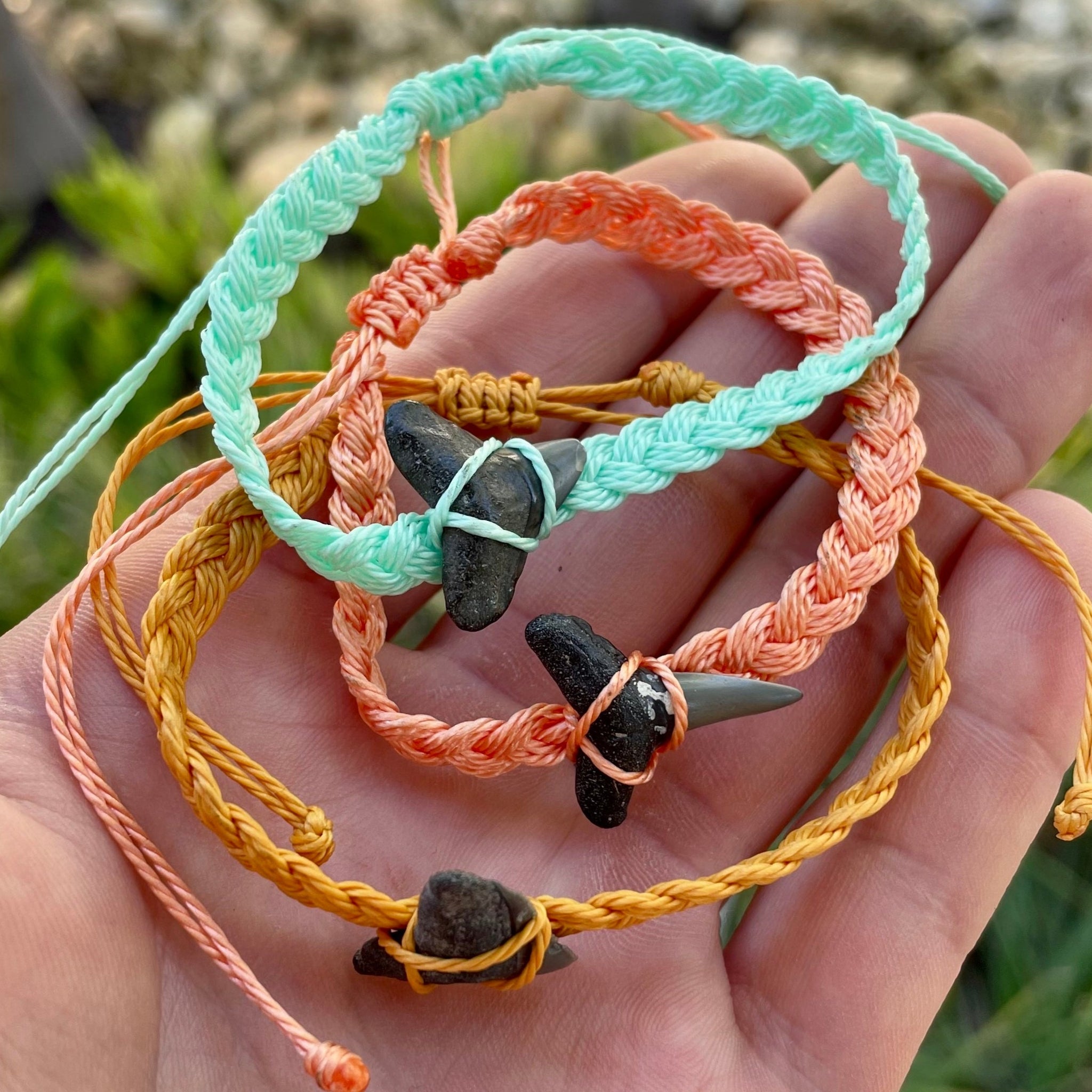 Real Shark Fossil Bracelet or Anklet Handmade SHRKco LLC