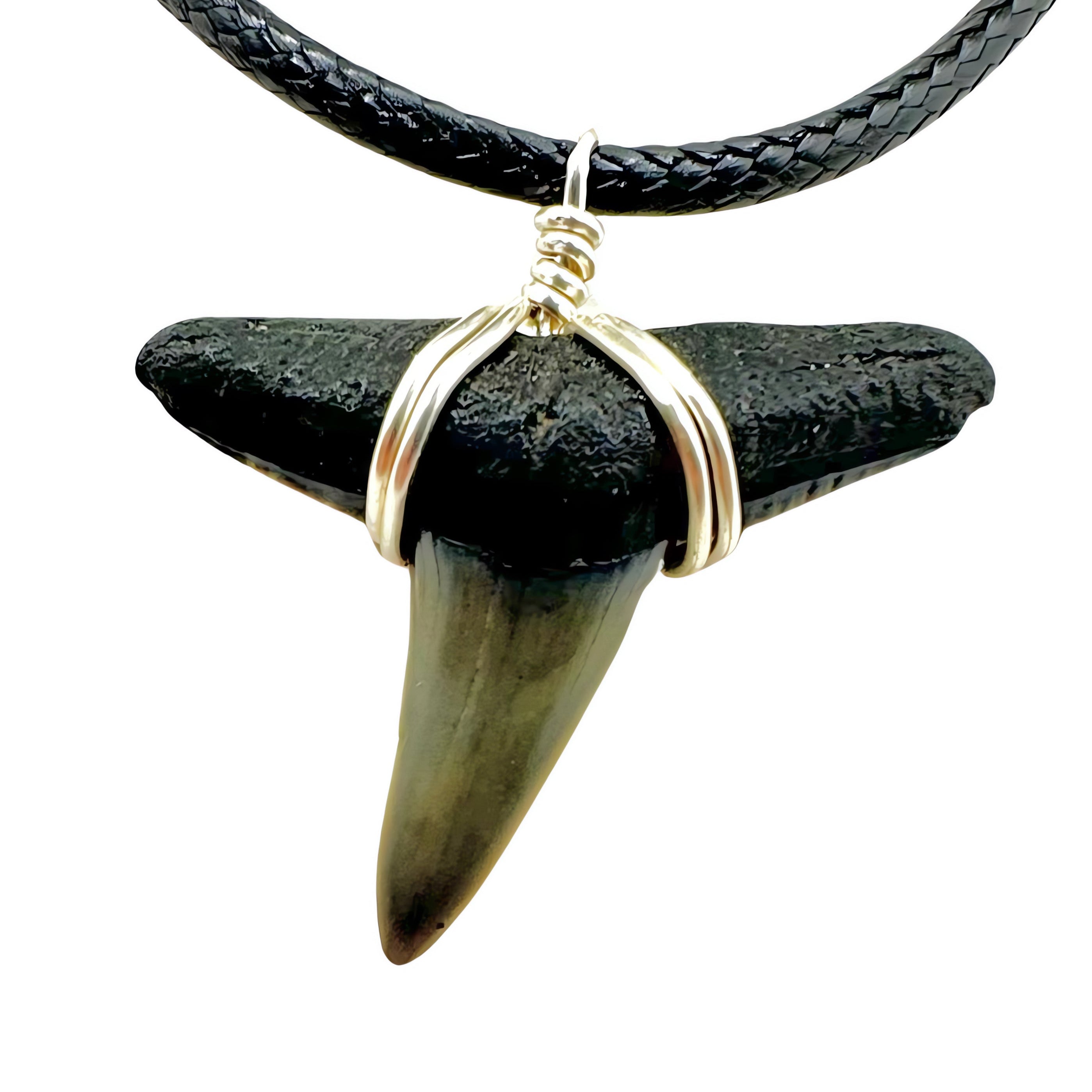 Lemon Shark Fossil Necklace – SHRKco LLC
