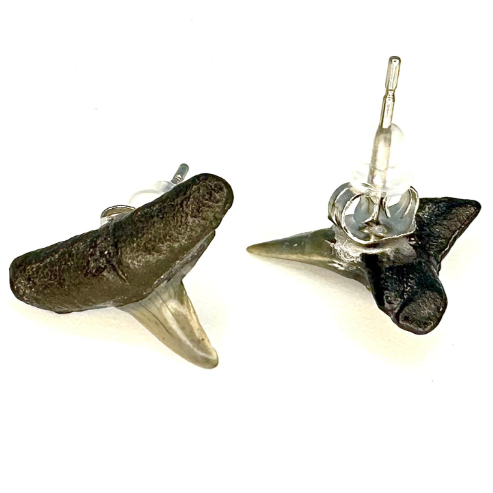 Shark Tooth Earrings, Sharks, Beach Combing, hotsell North Carolina Coast, Coastal, Solid Sterling Silver Earrings - Tavernays