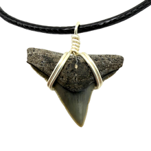 Load image into Gallery viewer, Outer Banks style shark tooth necklace on leather cord by SHRKco
