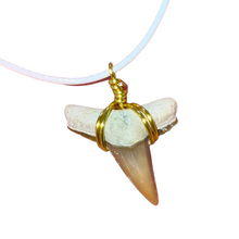 Load image into Gallery viewer, RARE ORANGE Color Shark Tooth Necklace
