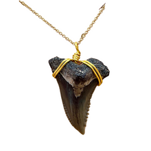 Load image into Gallery viewer, Fine Snaggletooth Shark Fossil Necklace: 14kt Gold or Sterling Silver
