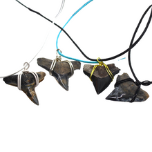 Load image into Gallery viewer, Rare Coloration Shark Fossil Necklace
