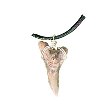 Load image into Gallery viewer, NEW Dagger Shaped Necklace (Lower Snaggletooth)
