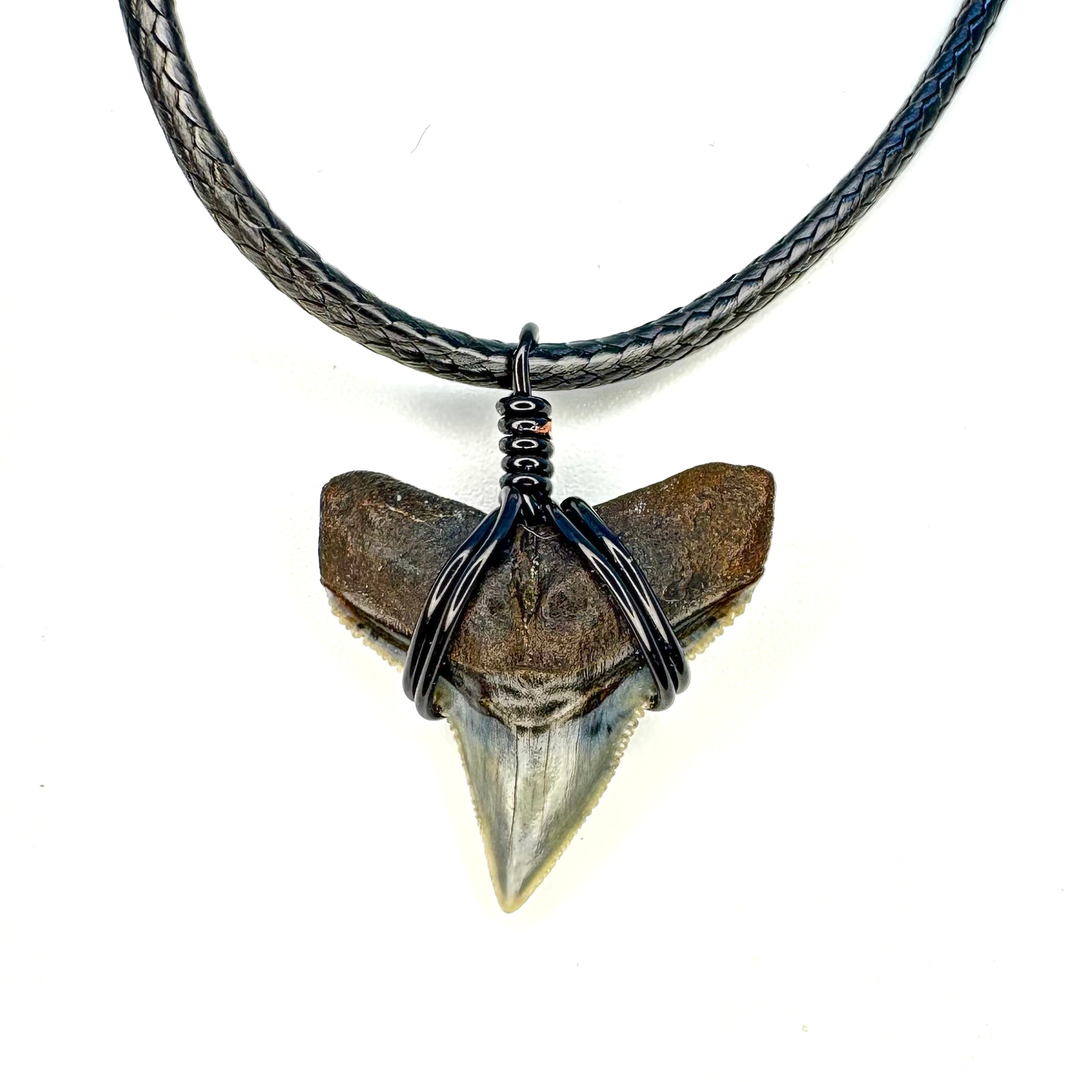 CLASSIC Bull Shark Marine Fossil Necklace – SHRKco LLC