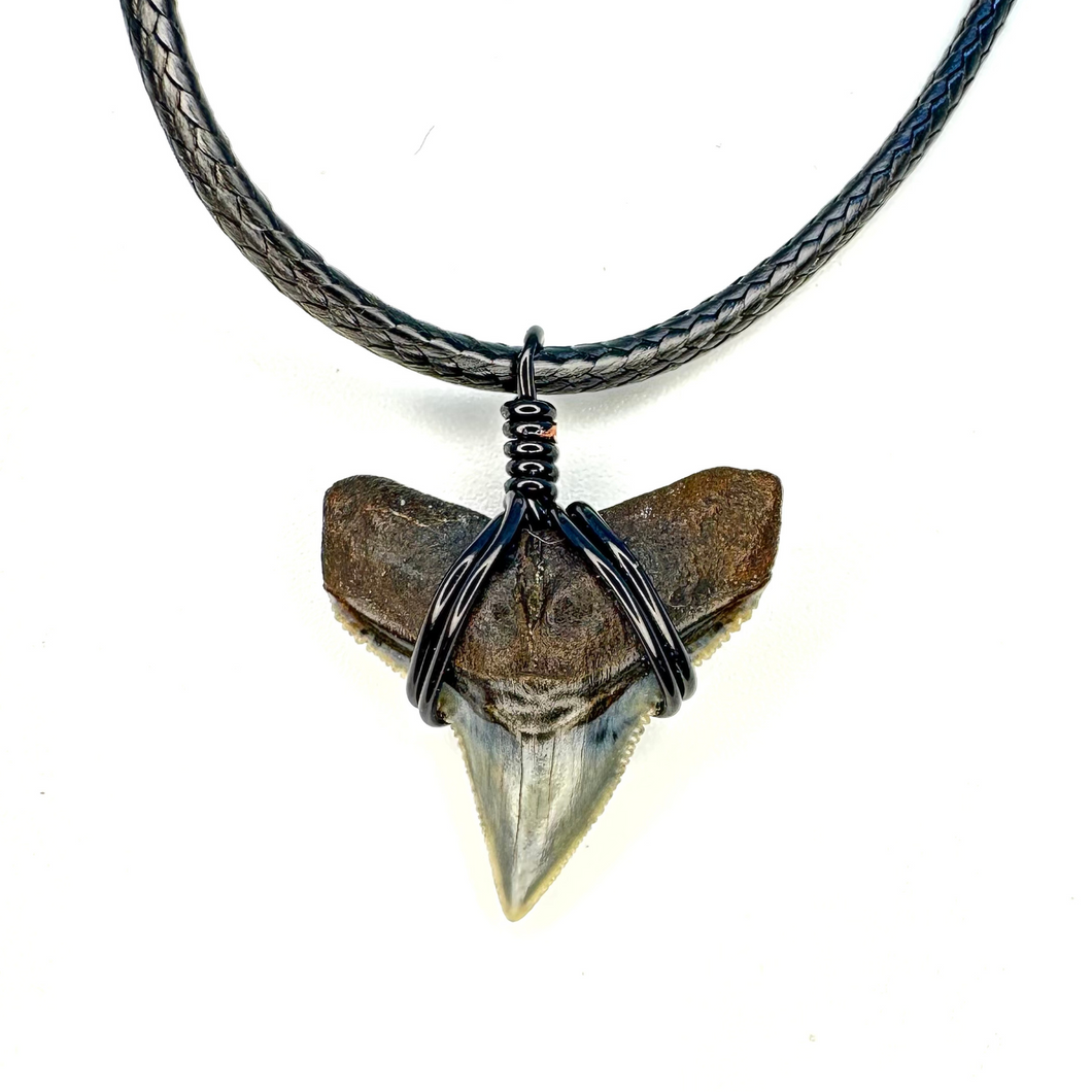 Classic Bull Shark Necklace