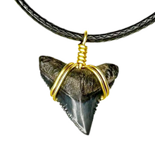 Load image into Gallery viewer, Ethically Sourced Shark Fossil Choker Necklace – Real Fossil Jewelry for Women
