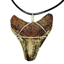 Load image into Gallery viewer, Megalodon Necklace
