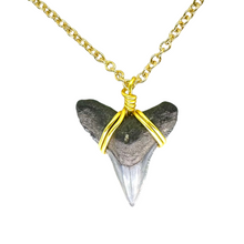 Load image into Gallery viewer, Dainty 14K Gold Filled Shark Tooth Necklace
