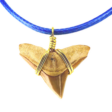 Load image into Gallery viewer, Limited Edition Rare Orange Shark Tooth Fossil Necklace
