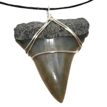 Load image into Gallery viewer, Mako Shark Fossil Necklace
