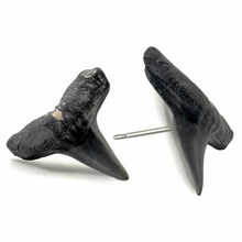 Load image into Gallery viewer, Shark Fossil Stud Earrings
