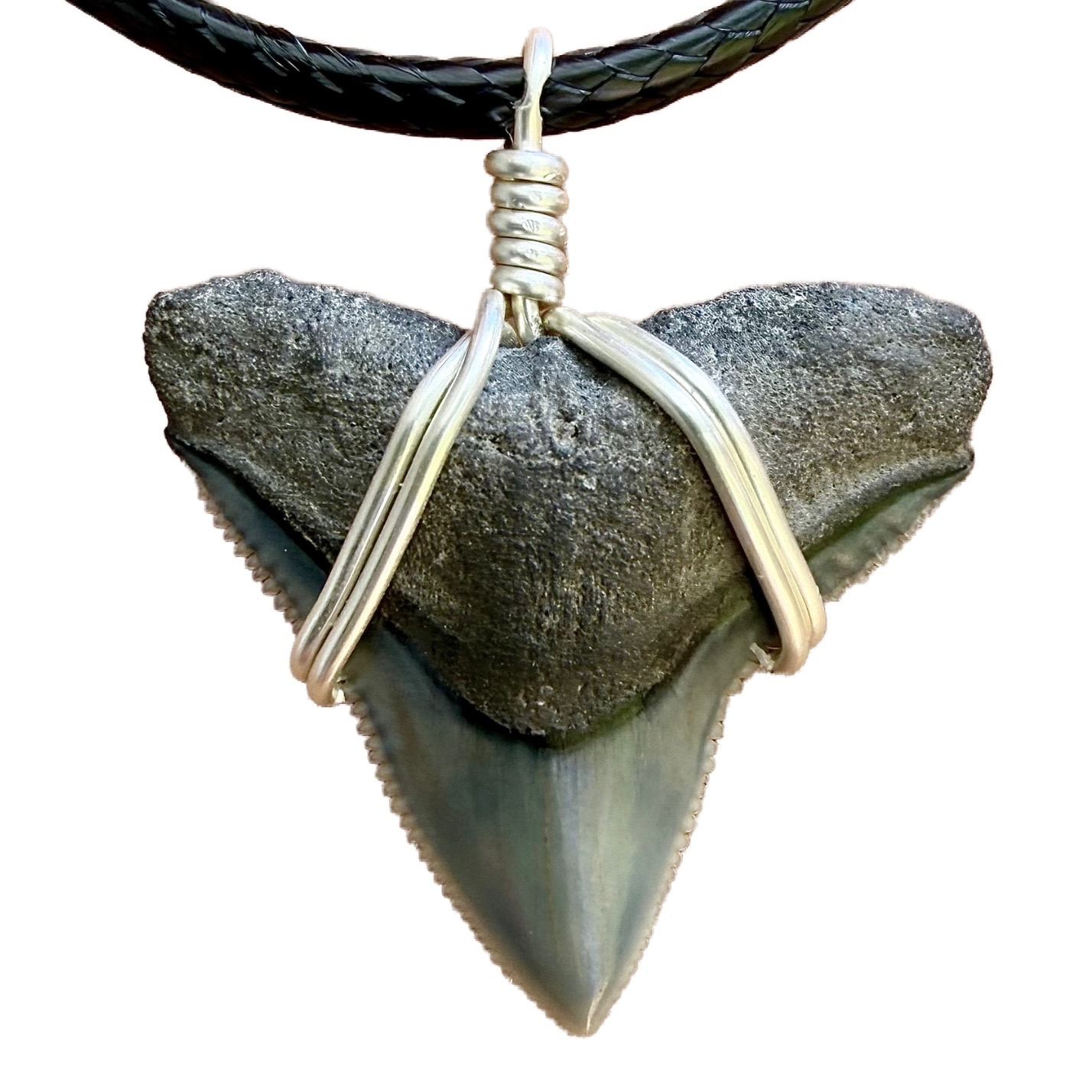 Outer Banks Style Shark Necklace (JJ Maybank) – SHRKco LLC