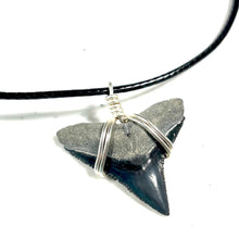 Load image into Gallery viewer, A Bull Shark Necklace handwrapped in silver wire wrapping.  These necklaces are durable and waterproof.  Each features a shark fossil from the Miocene Epoch (2-23 million years ago). 
