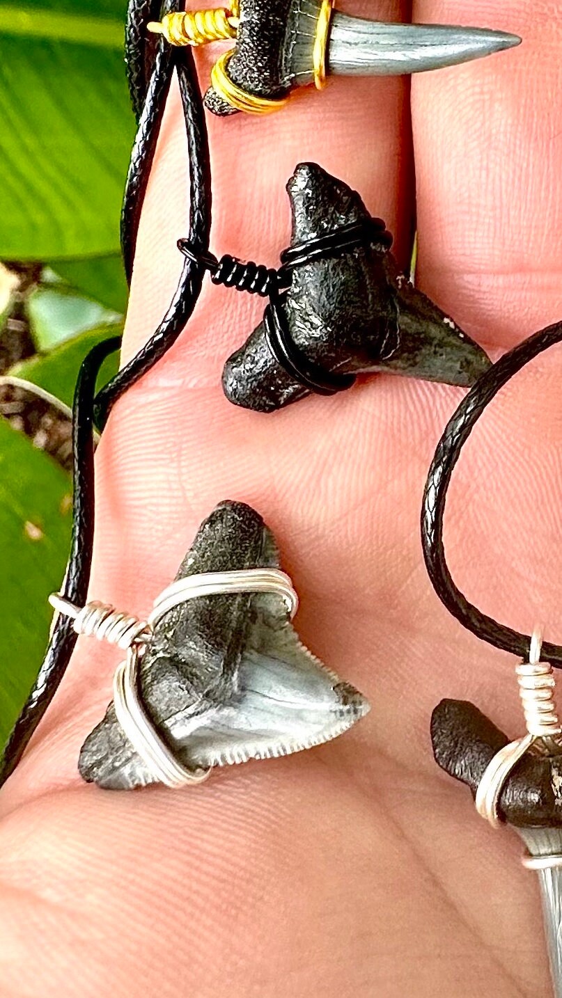 Black Waters - Fossil Sharks Tooth Necklace – Charming Shark Retail