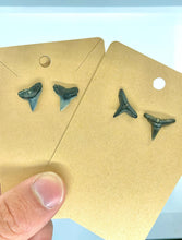 Load image into Gallery viewer, Shark Fossil Stud Earrings
