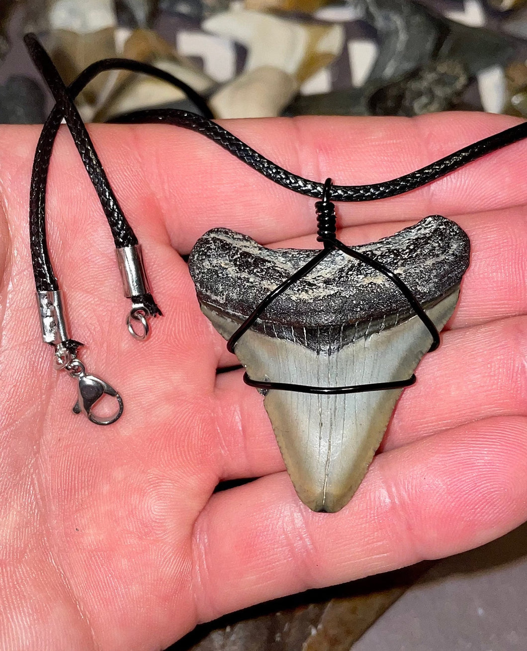 Megalodon Necklace with Natural Cord