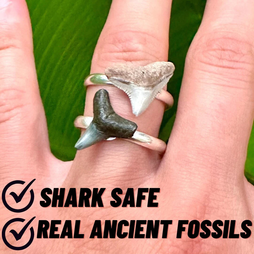 REAL Shark Fossil Rings