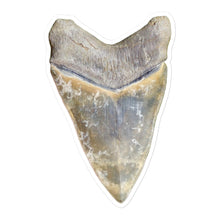 Load image into Gallery viewer, Green Lightning Megalodon Shark Tooth Sticker

