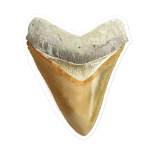 Load image into Gallery viewer, Orange Megalodon Shark Tooth Sticker
