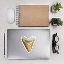 Load image into Gallery viewer, Orange Megalodon Shark Tooth Sticker
