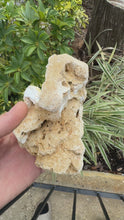 Load and play video in Gallery viewer, Amber &amp; Orange Agatized Coral Geode
