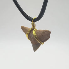 Load and play video in Gallery viewer, Limited Edition Rare Orange Shark Tooth Fossil Necklace
