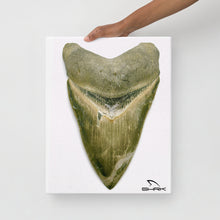 Load image into Gallery viewer, Green Lightning Megalodon Canvas Prints
