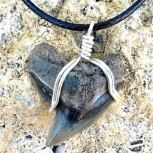 Load image into Gallery viewer, Tiger Shark Fossil Necklace

