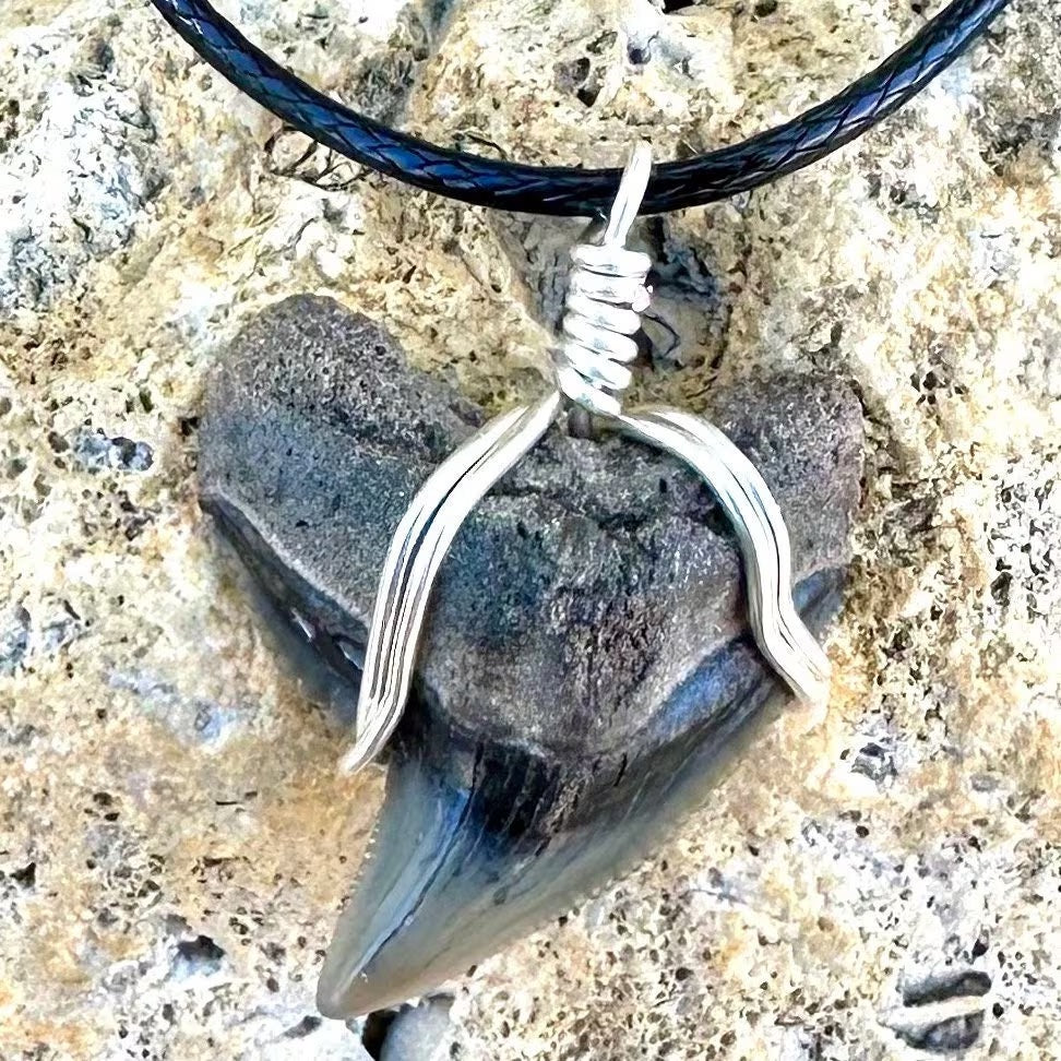 Tiger Shark Fossil Necklace