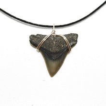Load image into Gallery viewer, teeth tooth  style ancient  sharktooth jurassic  sharks sharky  scuba florida  outer banks  obx venice  jj maybank  handmade ethical  genuine real  fossil fossilized  for women  bulls diving  boho black  beachy beach
