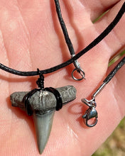 Load image into Gallery viewer, A classic shark tooth necklace. Stainless steel lobster clasps, crimps and jump rings and very tightly tied wire wrapping. Waterproof
