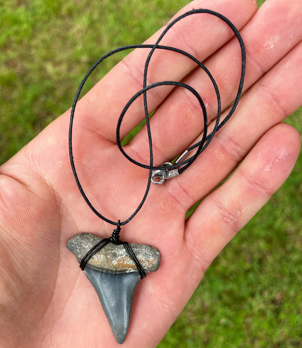 Mako Shark Fossil Necklace
