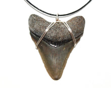 Load image into Gallery viewer, Megalodon Necklace with Natural Cord
