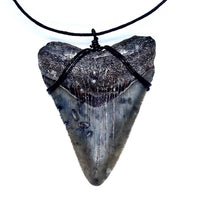 Load image into Gallery viewer, Megalodon Necklace Handmade
