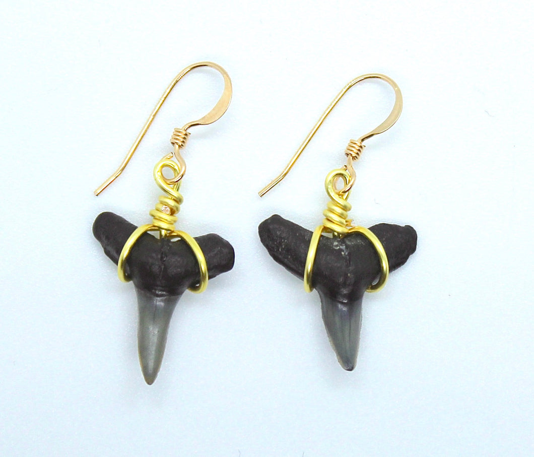 Shark Fossil Dangle Earrings 14kt Gold or Sterling Silver