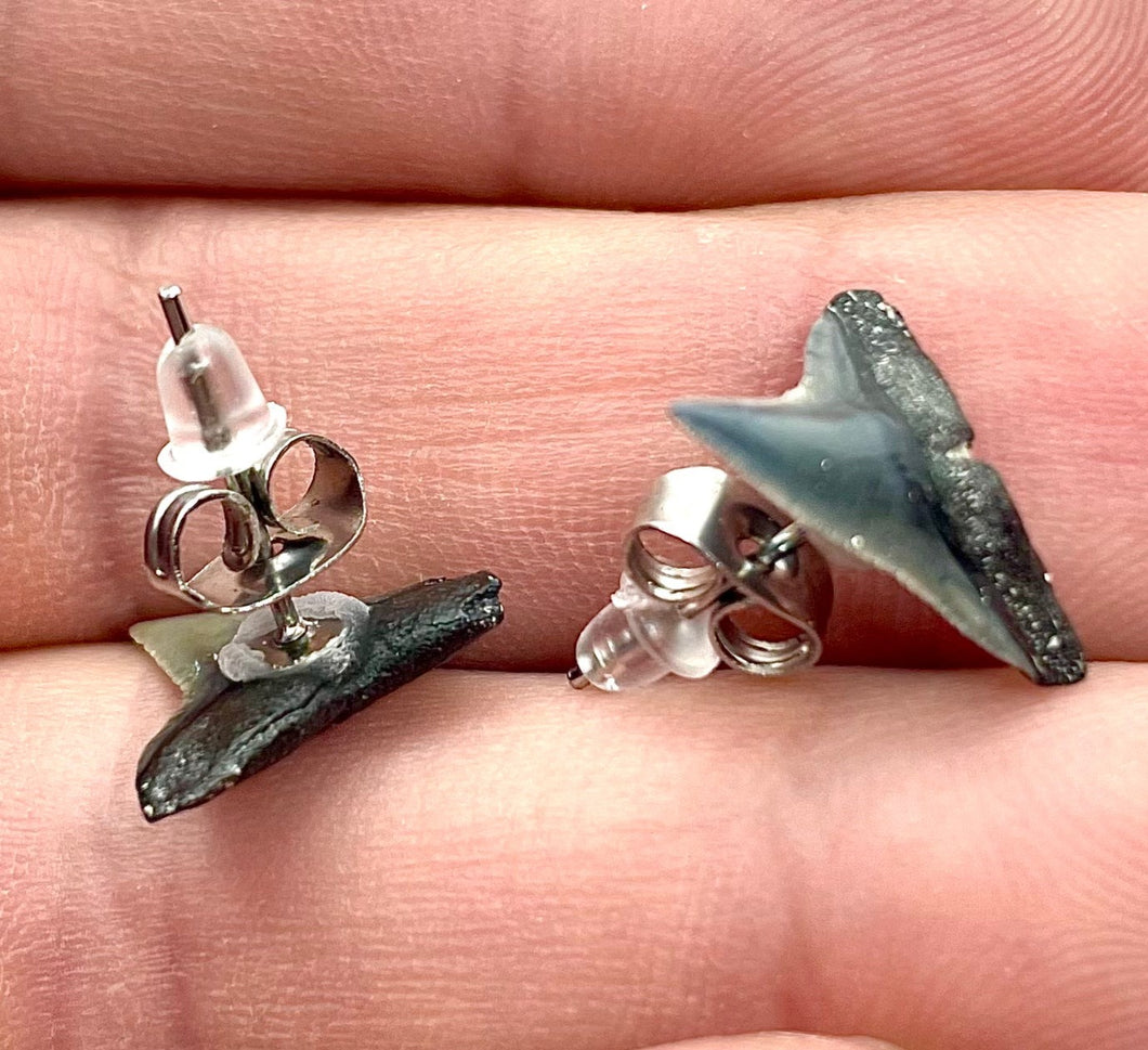 Shark Fossil Stud Earrings